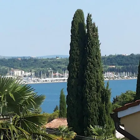 Apartment Solinska Pot Portoroz Room photo